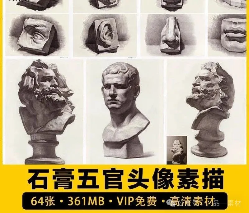 64张，石膏头像素描高考艺考单独五官高清图片参考范画素材美术临摹教程-三才资源库分享
