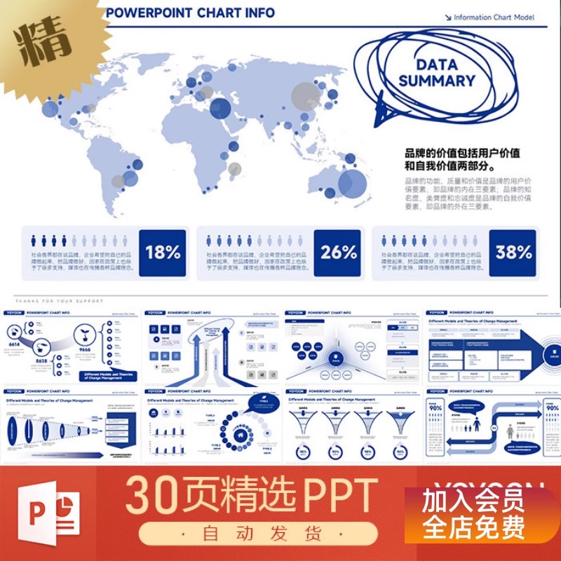 高级辉瑞风格企业管理咨询财务分析模型客户画像人群分析PPT模板-三才资源库分享