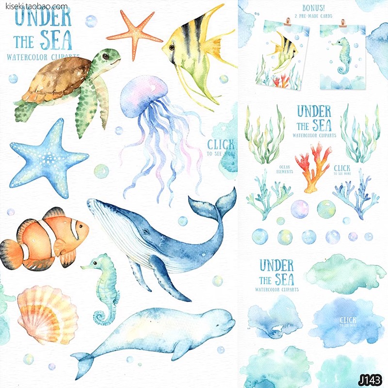 32款，唯美卡通手绘水彩海洋动物植物海龟鲸鱼海星PNG免抠图PS素材-三才资源库分享