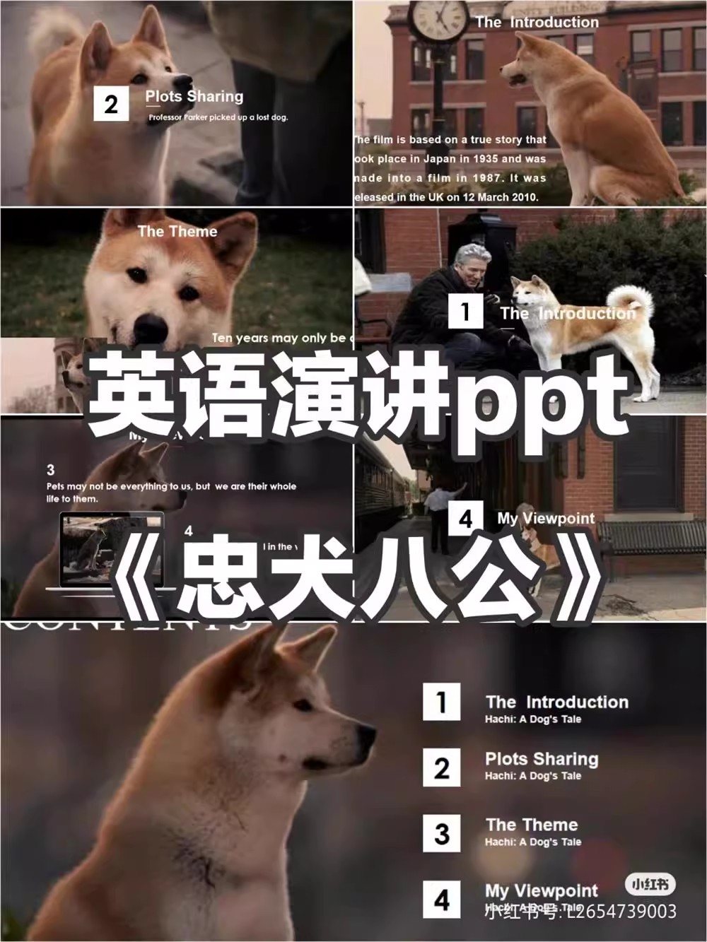 大学生英语演讲ppt成品‖忠犬八公‖附英语演讲稿附汉语翻译-三才资源库分享