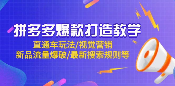 拼多多爆款打造教学:直通车玩法/视觉营销/新品流量爆破/最新搜索规则等网赚项目-三才资源库分享
